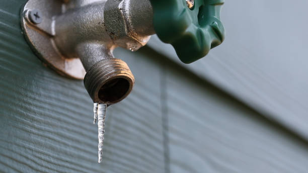 Best Local Plumber Services  in Carterville, MO