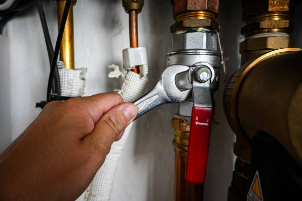 Best Residential Plumbing Services  in Carterville, MO